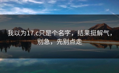 我以为17.c只是个名字，结果挺解气，别急，先别点走