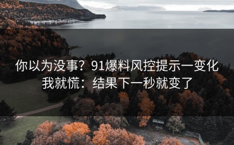 你以为没事？91爆料风控提示一变化我就慌：结果下一秒就变了