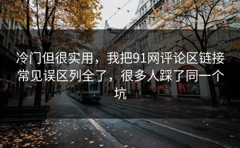 冷门但很实用，我把91网评论区链接常见误区列全了，很多人踩了同一个坑