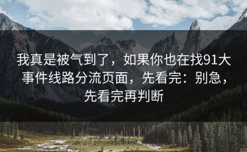 我真是被气到了，如果你也在找91大事件线路分流页面，先看完：别急，先看完再判断
