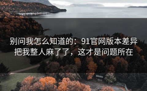 别问我怎么知道的：91官网版本差异把我整人麻了了，这才是问题所在