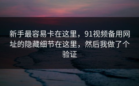 新手最容易卡在这里，91视频备用网址的隐藏细节在这里，然后我做了个验证