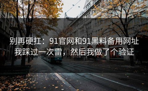 别再硬扛：91官网和91黑料备用网址我踩过一次雷，然后我做了个验证