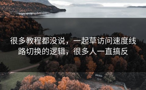 很多教程都没说，一起草访问速度线路切换的逻辑，很多人一直搞反