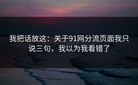 我把话放这：关于91网分流页面我只说三句，我以为我看错了