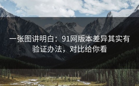 一张图讲明白：91网版本差异其实有验证办法，对比给你看