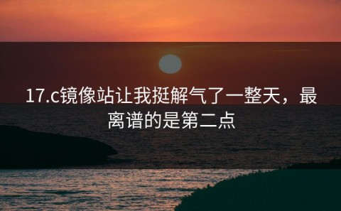 17.c镜像站让我挺解气了一整天，最离谱的是第二点