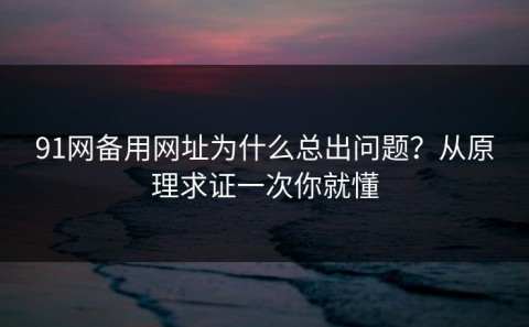 91网备用网址为什么总出问题？从原理求证一次你就懂