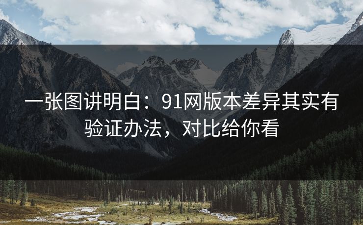 一张图讲明白:91网版本差异其实有验证办法,对比给你看 一张图讲明白:91网版本差异其实有验证办法,对比给你看