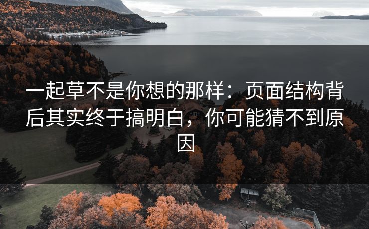 一起草不是你想的那样:页面结构背后其实终于搞明白,你可能猜不到原因 一起草不是你想的那样:页面结构背后其实终于搞明白,你可能猜不到原因